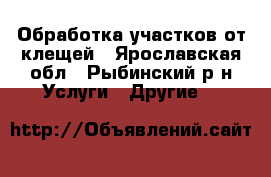 Обработка участков от клещей - Ярославская обл., Рыбинский р-н Услуги » Другие   